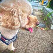 ヒメ日記 2025/04/04 16:09 投稿 りつ sweet kiss