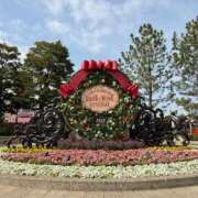 ヒメ日記 2025/04/09 12:19 投稿 りつ sweet kiss