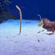 ヒメ日記 2025/05/07 09:59 投稿 りつ sweet kiss