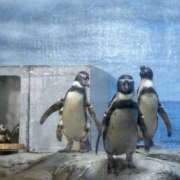 ヒメ日記 2025/05/18 10:00 投稿 りつ sweet kiss