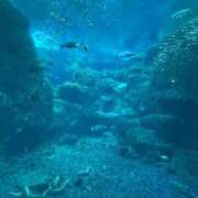 ヒメ日記 2025/06/02 15:59 投稿 りつ sweet kiss