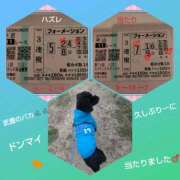 ヒメ日記 2025/03/16 19:38 投稿 あかね 熟女デリヘル秘宝館Z