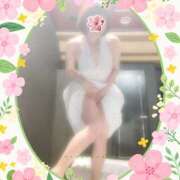 ヒメ日記 2025/04/12 09:16 投稿 あかね 熟女デリヘル秘宝館Z