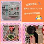 ヒメ日記 2025/06/01 17:58 投稿 あかね 熟女デリヘル秘宝館Z