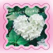 ヒメ日記 2025/06/07 16:19 投稿 あかね 熟女デリヘル秘宝館Z