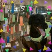 ヒメ日記 2025/07/07 11:02 投稿 あかね 熟女デリヘル秘宝館Z