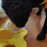 ヒメ日記 2025/07/07 17:24 投稿 あかね 熟女デリヘル秘宝館Z