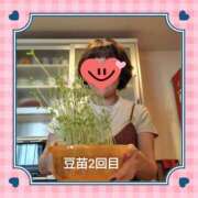 ヒメ日記 2025/07/15 18:01 投稿 あかね 熟女デリヘル秘宝館Z