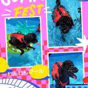 ヒメ日記 2025/07/19 12:45 投稿 あかね 熟女デリヘル秘宝館Z