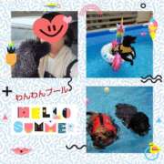 ヒメ日記 2025/08/09 12:42 投稿 あかね 熟女デリヘル秘宝館Z