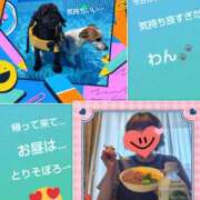 ヒメ日記 2025/08/15 12:21 投稿 あかね 熟女デリヘル秘宝館Z