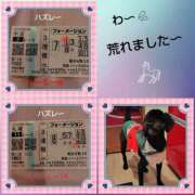 ヒメ日記 2025/08/17 17:34 投稿 あかね 熟女デリヘル秘宝館Z