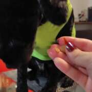 ヒメ日記 2025/08/17 20:35 投稿 あかね 熟女デリヘル秘宝館Z