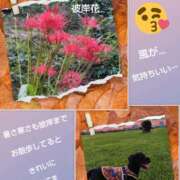 ヒメ日記 2025/09/23 00:04 投稿 あかね 熟女デリヘル秘宝館Z