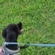 ヒメ日記 2025/10/09 23:29 投稿 あかね 熟女デリヘル秘宝館Z