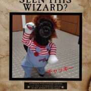 ヒメ日記 2025/10/19 09:52 投稿 あかね 熟女デリヘル秘宝館Z