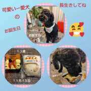 ヒメ日記 2025/11/15 18:13 投稿 あかね 熟女デリヘル秘宝館Z