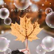 ヒメ日記 2025/11/23 17:39 投稿 あかね 熟女デリヘル秘宝館Z