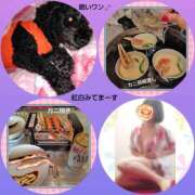 ヒメ日記 2025/12/31 20:53 投稿 あかね 熟女デリヘル秘宝館Z