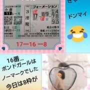 ヒメ日記 2026/01/24 16:44 投稿 あかね 熟女デリヘル秘宝館Z