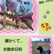 ヒメ日記 2026/02/06 13:46 投稿 あかね 熟女デリヘル秘宝館Z