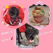 ヒメ日記 2026/02/14 23:26 投稿 あかね 熟女デリヘル秘宝館Z