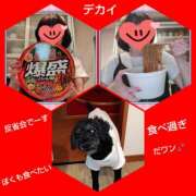 ヒメ日記 2026/03/09 15:05 投稿 あかね 熟女デリヘル秘宝館Z