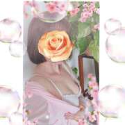 ヒメ日記 2026/03/20 07:49 投稿 あかね 熟女デリヘル秘宝館Z