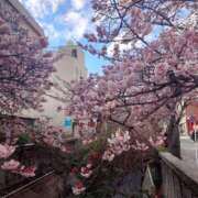 ヒメ日記 2025/02/22 12:13 投稿 梨乃(りの) 厚木奥様Life