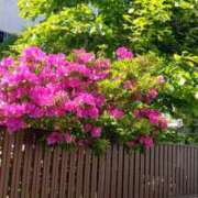 ヒメ日記 2025/05/07 23:37 投稿 梨乃(りの) 厚木奥様Life