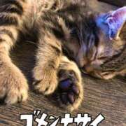 ヒメ日記 2025/03/18 10:45 投稿 ゆい ミラクル☆ハニー