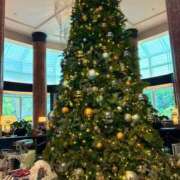 ヒメ日記 2025/12/24 00:31 投稿 ゆい ミラクル☆ハニー