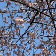 ヒメ日記 2025/03/20 23:45 投稿 秋本 ANECOTE