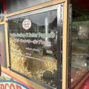 ヒメ日記 2025/06/03 20:50 投稿 秋本 ANECOTE