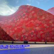 ヒメ日記 2025/07/22 22:51 投稿 秋本 ANECOTE