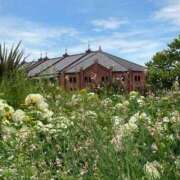 ヒメ日記 2025/06/21 10:05 投稿 大城（おおしろ） 熟女の風俗最終章 大宮店