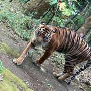 ヒメ日記 2025/09/18 21:32 投稿 かのん 君とふわふわプリンセスin立川