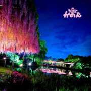 ヒメ日記 2025/09/24 19:02 投稿 かのん 君とふわふわプリンセスin立川