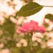 ひめこ すみません(;_;)ひめこ 世界のあんぷり亭 鶯谷