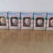 ヒメ日記 2025/02/27 07:46 投稿 大槻要 五十路マダム静岡店（カサブランカG）