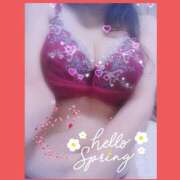 ヒメ日記 2025/03/11 15:30 投稿 大槻要 五十路マダム静岡店（カサブランカG）