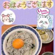 ヒメ日記 2026/02/16 08:24 投稿 大槻要 五十路マダム静岡店（カサブランカG）