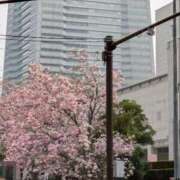 ヒメ日記 2025/03/28 12:19 投稿 ふじよ 完熟ばなな 横浜