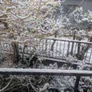 ふじよ 完熟ばなな川崎店ふじよです　中々雨が降らないと思ったら 完熟ばなな 横浜