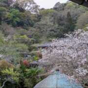 ヒメ日記 2026/04/10 12:51 投稿 ふじよ 完熟ばなな 横浜