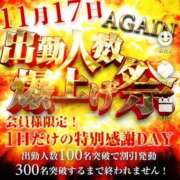 ヒメ日記 2025/11/13 14:40 投稿 あきな 奥鉄オクテツ兵庫