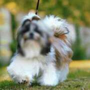 ヒメ日記 2025/11/18 15:20 投稿 あきな 奥鉄オクテツ兵庫