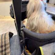 ヒメ日記 2025/12/20 11:55 投稿 あきな 奥鉄オクテツ兵庫