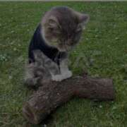 ヒメ日記 2025/12/26 22:15 投稿 あきな 奥鉄オクテツ兵庫