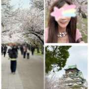 ヒメ日記 2026/04/11 21:55 投稿 あきな 奥鉄オクテツ兵庫